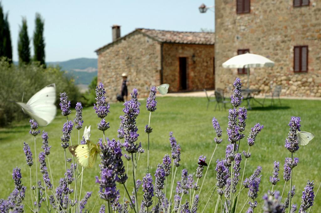 Tenuta Casabianca Murlo Rum bild