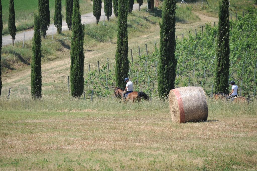 Tenuta Casabianca Murlo Exteriör bild